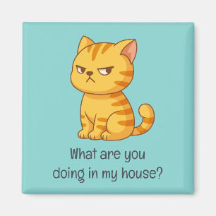 Aimant Chat tigré orange grincheux Texte drôle Vert