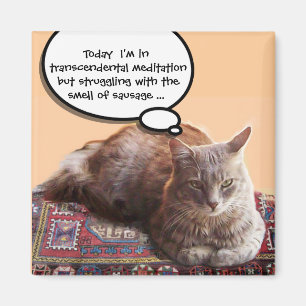 AIMANT CHAT TURQUE EN MÉDITATION TRANSCENDENTALE