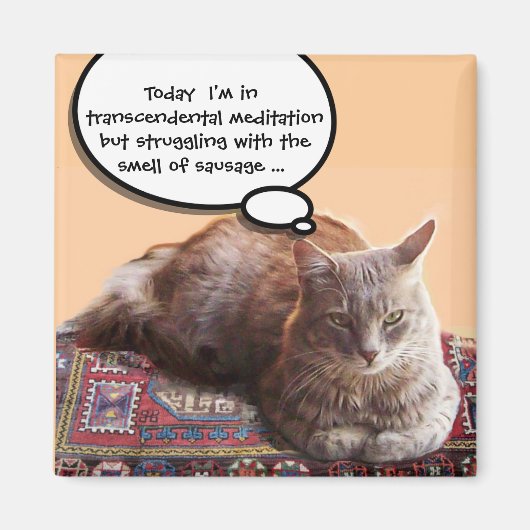 AIMANT CHAT TURQUE EN MÉDITATION TRANSCENDENTALE (Devant)