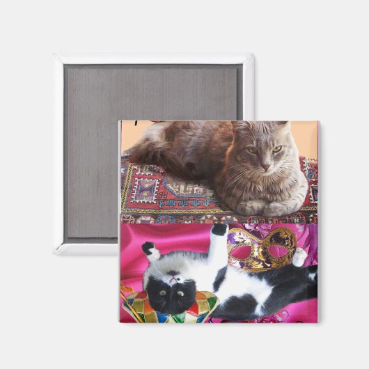 AIMANT CHAT TURQUE EN MÉDITATION TRANSCENDENTALE (Recto/Verso)