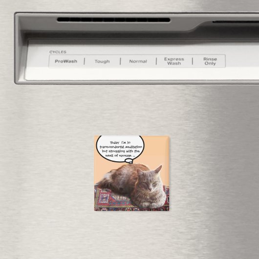 AIMANT CHAT TURQUE EN MÉDITATION TRANSCENDENTALE (In Situ (Lave-vaisselle))