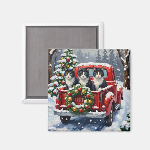 Aimant Chat Tuxedo Noël Camion Rouge Fêtes