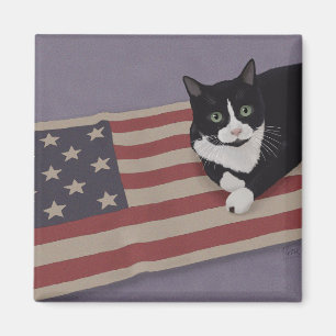 Aimant Chat USA 