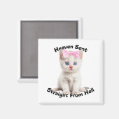Aimant Chat Whimsical (Recto/Verso)