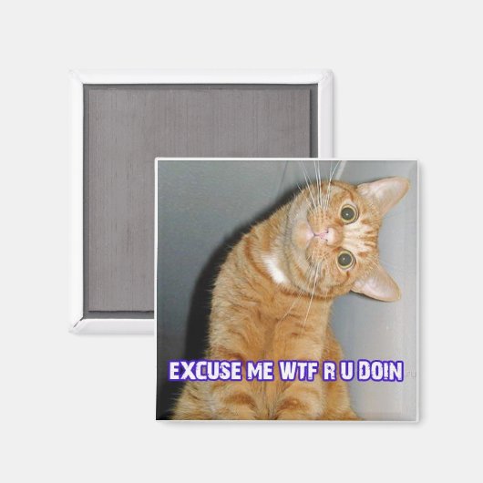 Aimant chat wtf (Recto/Verso)