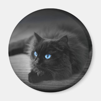 Aimant Chat Yeux Bleu Minuit - 2.25 Rond Frigo