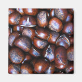 Aimant Châtaignes (Devant)