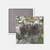 Aimant Château d'Ant (Recto/Verso)