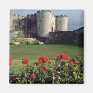 Aimant Château de Stirling, fleurs de l'Ecosse