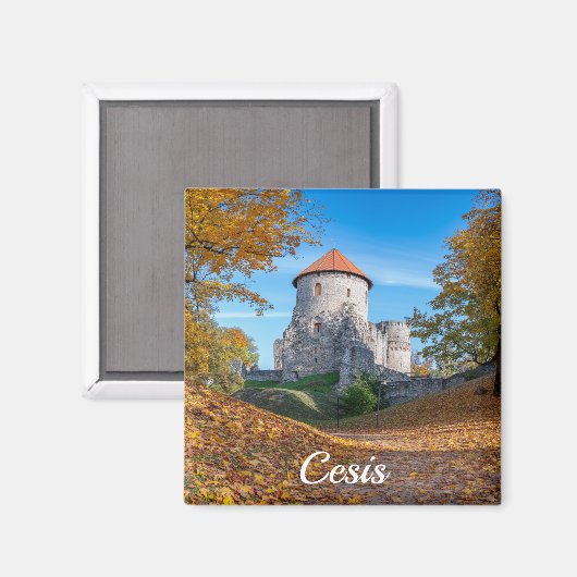 Aimant Château médiéval entouré de forêt (Recto/Verso)