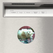 Aimant chaton (In Situ (Lave-vaisselle))