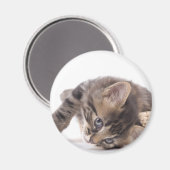 Aimant chaton (Recto/Verso)