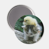 Aimant chaton (Recto/Verso)