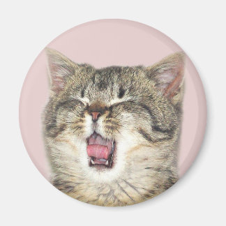 Aimant Chaton à bouche ouverte
