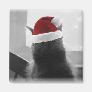 Aimant Chaton adorable de Noël