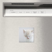 Aimant Chaton blanc dormant (In Situ (Lave-vaisselle))