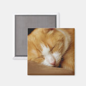 Aimant Chaton couchant (Recto/Verso)