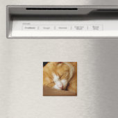Aimant Chaton couchant (In Situ (Lave-vaisselle))