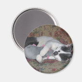 Aimant Chaton couchant (Recto/Verso)
