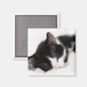 Aimant Chaton couchant (Recto/Verso)