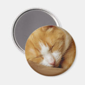 Aimant Chaton couchant (Recto/Verso)