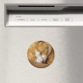 Aimant Chaton couchant (In Situ (Lave-vaisselle))