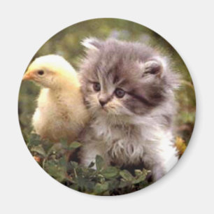 Aimant Chaton et poussin de bébé