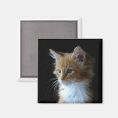 Aimant chaton Maine Cute Coon (Recto/Verso)