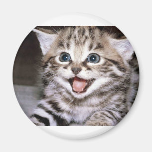 Aimant Chaton mignon