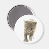 Aimant chaton mignon (Recto/Verso)