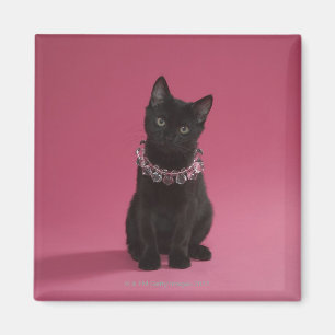 Aimant Chaton noir portant le collier orné de bijoux