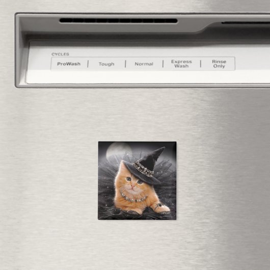 Aimant Chaton sorcière glamour (In Situ (Lave-vaisselle))