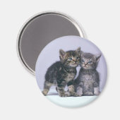 Aimant chatons (Recto/Verso)
