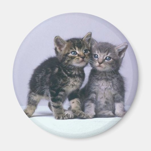 Aimant chatons (Devant)