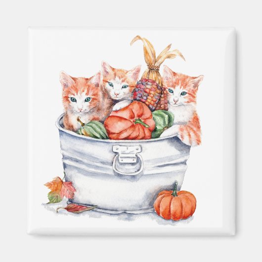 Aimant Chatons de récolte (Devant)