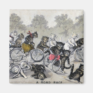 Aimant Chats à vélo