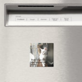 Aimant Chats assis près de la fenêtre (In Situ (Lave-vaisselle))