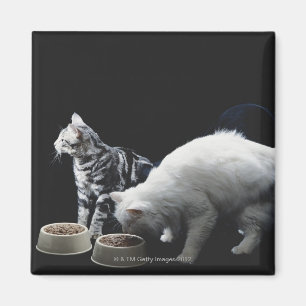 Aimant Chats avec le bol de nourriture