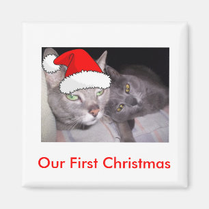 Aimant Chats de Noël