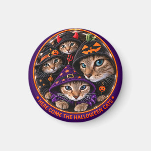 Aimant Chats d'Halloween dans des chapeaux de sorcière