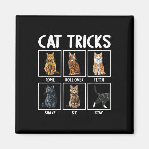 Aimant Chats Drôle Chat Tricks