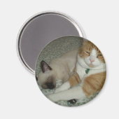 Aimant Chats mignons (Recto/Verso)