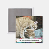 Aimant Chats orange (Recto/Verso)