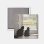 Aimant Chats regardant la porte d'écran (Recto/Verso)