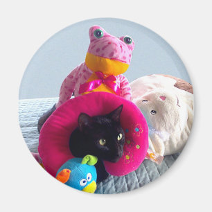 Aimant Chatte noir cinglé se cachant dans des jouets en p