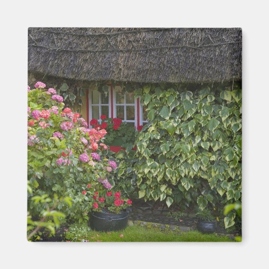 Aimant Chaumière, Adare, comté de Limerick, (Devant)