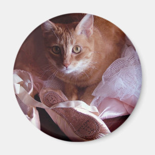 Aimant Chaussures de chat et de ballet