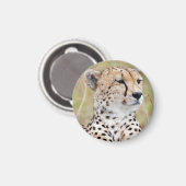 Aimant Cheetah (Recto/Verso)