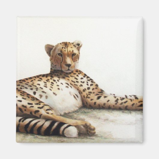 Aimant Cheetah (Devant)