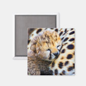 Aimant Cheetah Cub (Recto/Verso)
